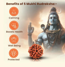 Certified Natural Rudraksha Bracelet 5 Mukhi 10mm Size