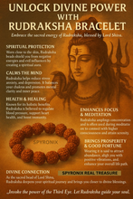 Certified Natural Rudraksha Bracelet 5 Mukhi 10mm Size